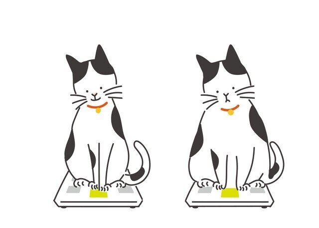 pet13サブ3
