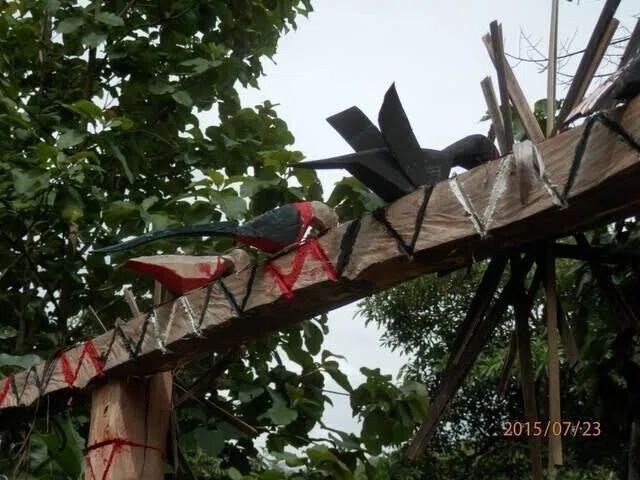 画像14