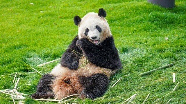 ご報告 海外に転勤します そして パワハラを受けてから今に至る背景 広告女子ぱすた Note