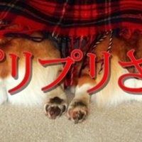 フォロー推薦 有名アルファツイッタラー 年 観測ログ Note フォロー推薦 有名アルファツイッタラー 年 観測ログ Note
