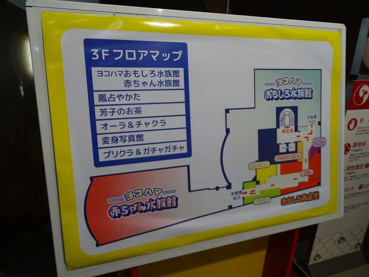 画像9