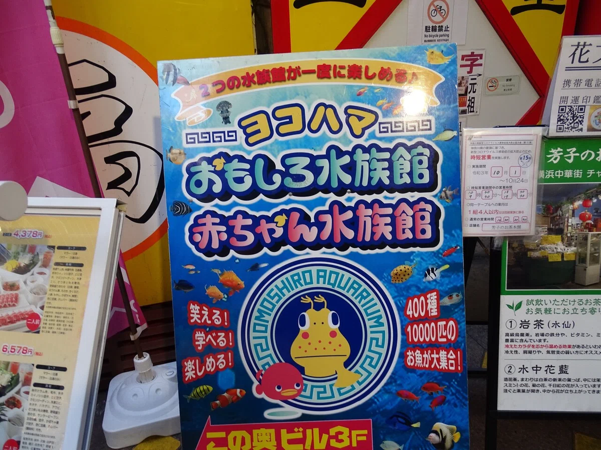 画像7