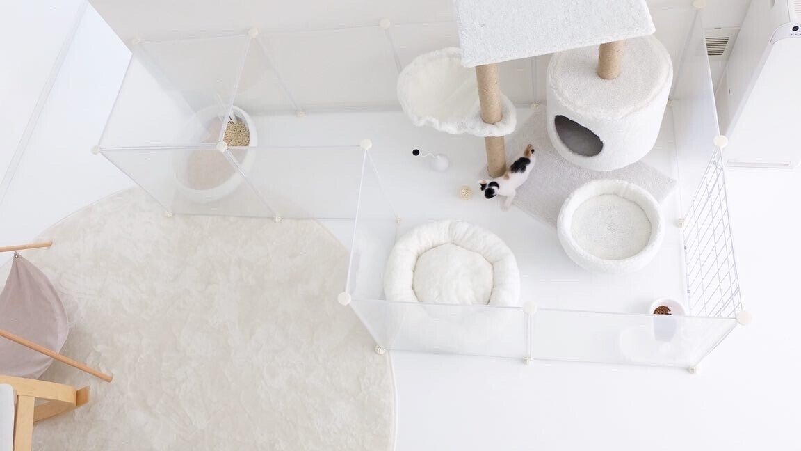 にゃんConnect」中の人｜保護猫と家族をつなぐ ［ にゃんConnect ］