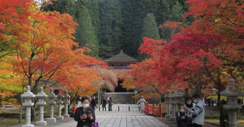 021年11月1日　和歌山県高野山～信仰と紅葉　その5　英霊殿付近の紅葉