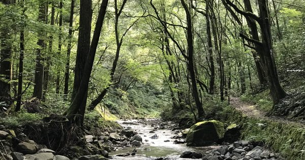 侵害予防調査と無効資料調査のノウハウ（第3章 無効資料調査