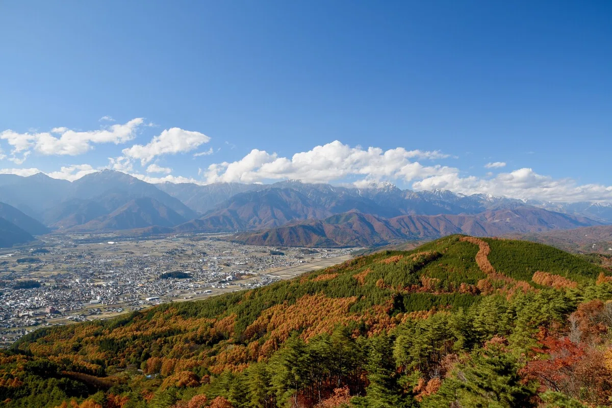 画像1