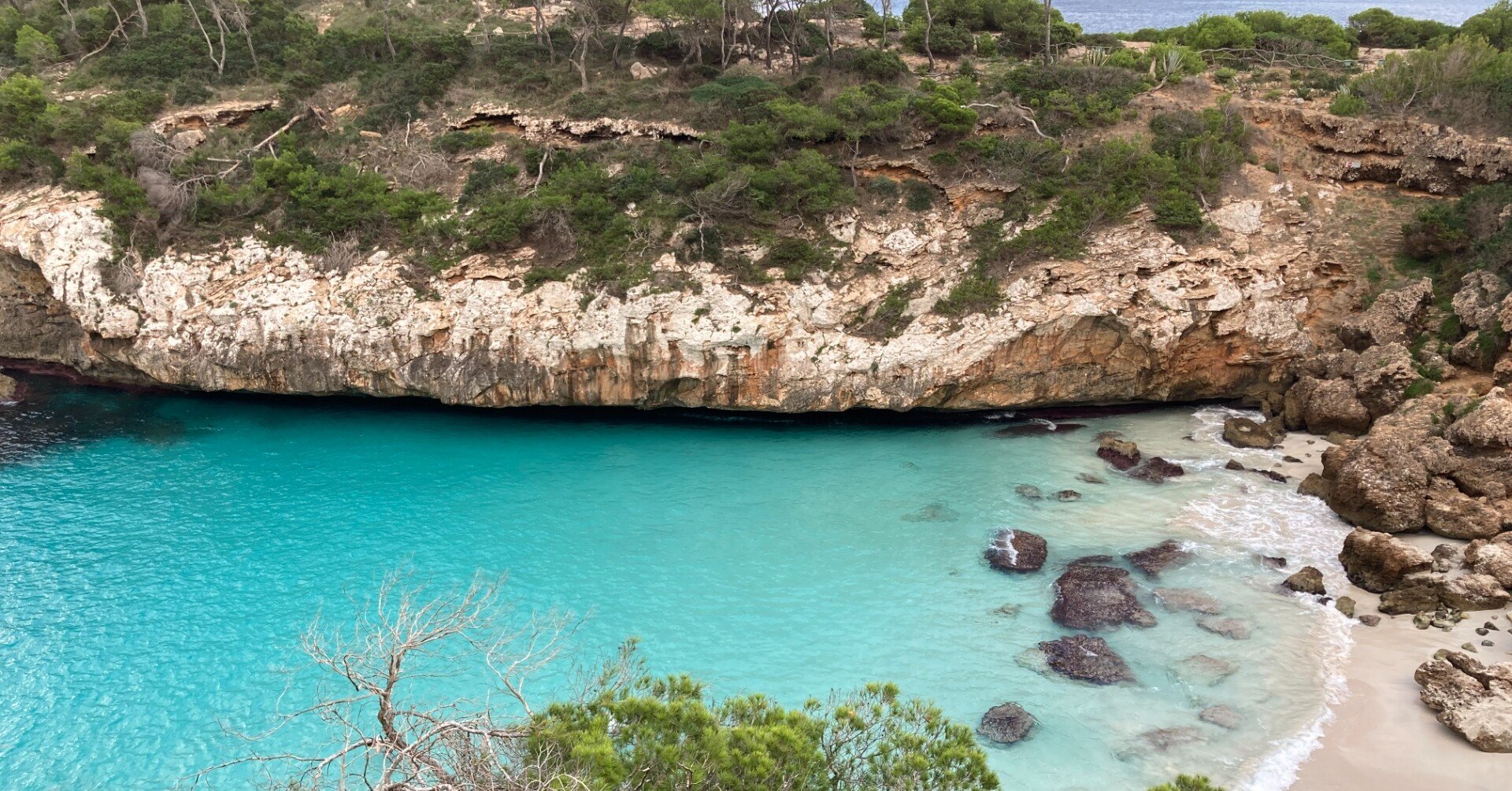 世界の民話　マヨルカ島 世界の民話 マヨルカ島 世界の民話(29) マヨルカ島 中古本・書籍 | ブック