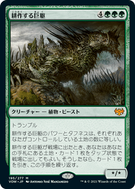 自然の秩序 未来予知 Foil 1枚 （EX]自然の秩序/Natural Order