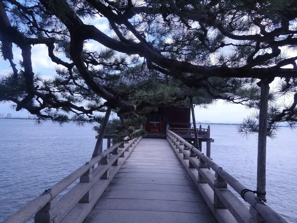 画像11
