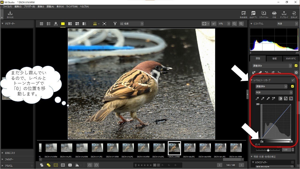 へたくそ写真の修整：NX Studioで「かすみ除去」｜お散歩バード