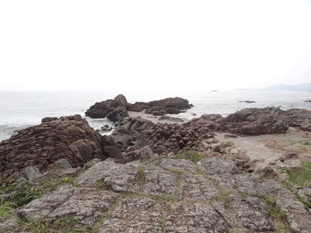 画像13