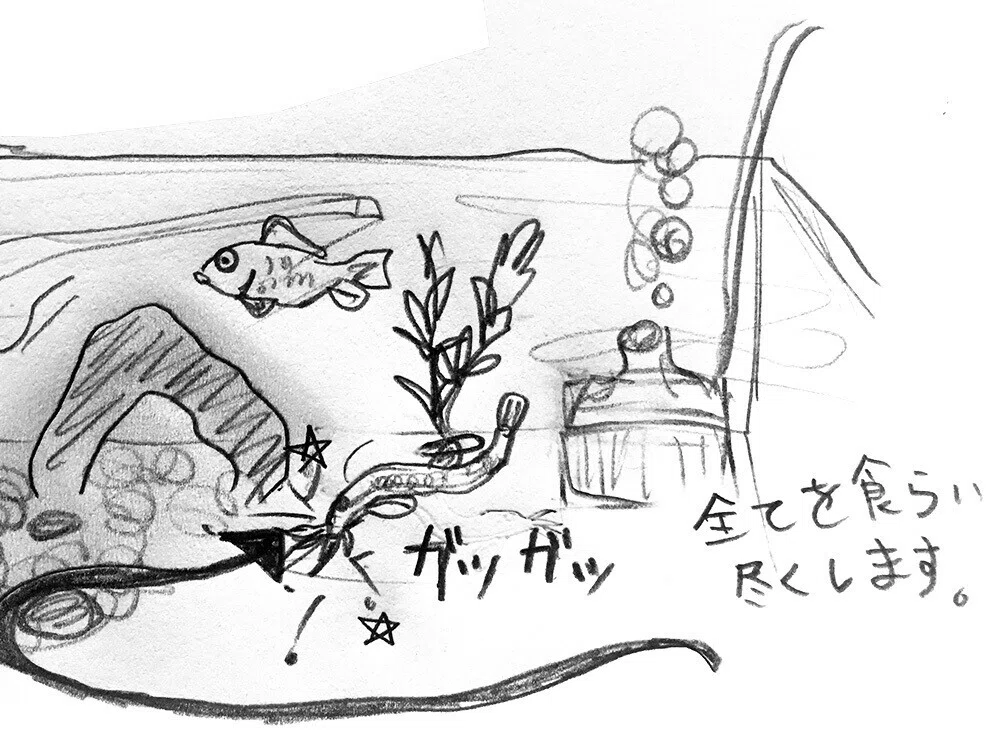 IMG_0232のコピー