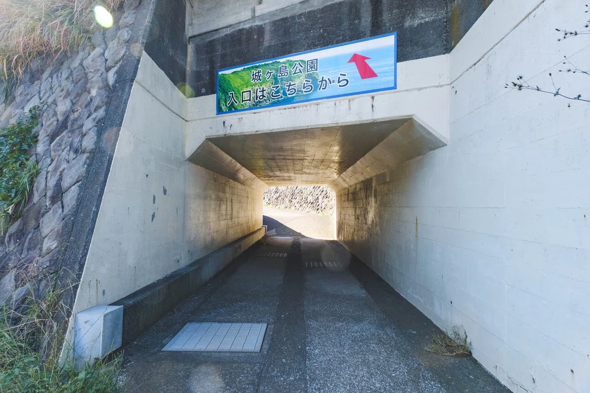 画像27