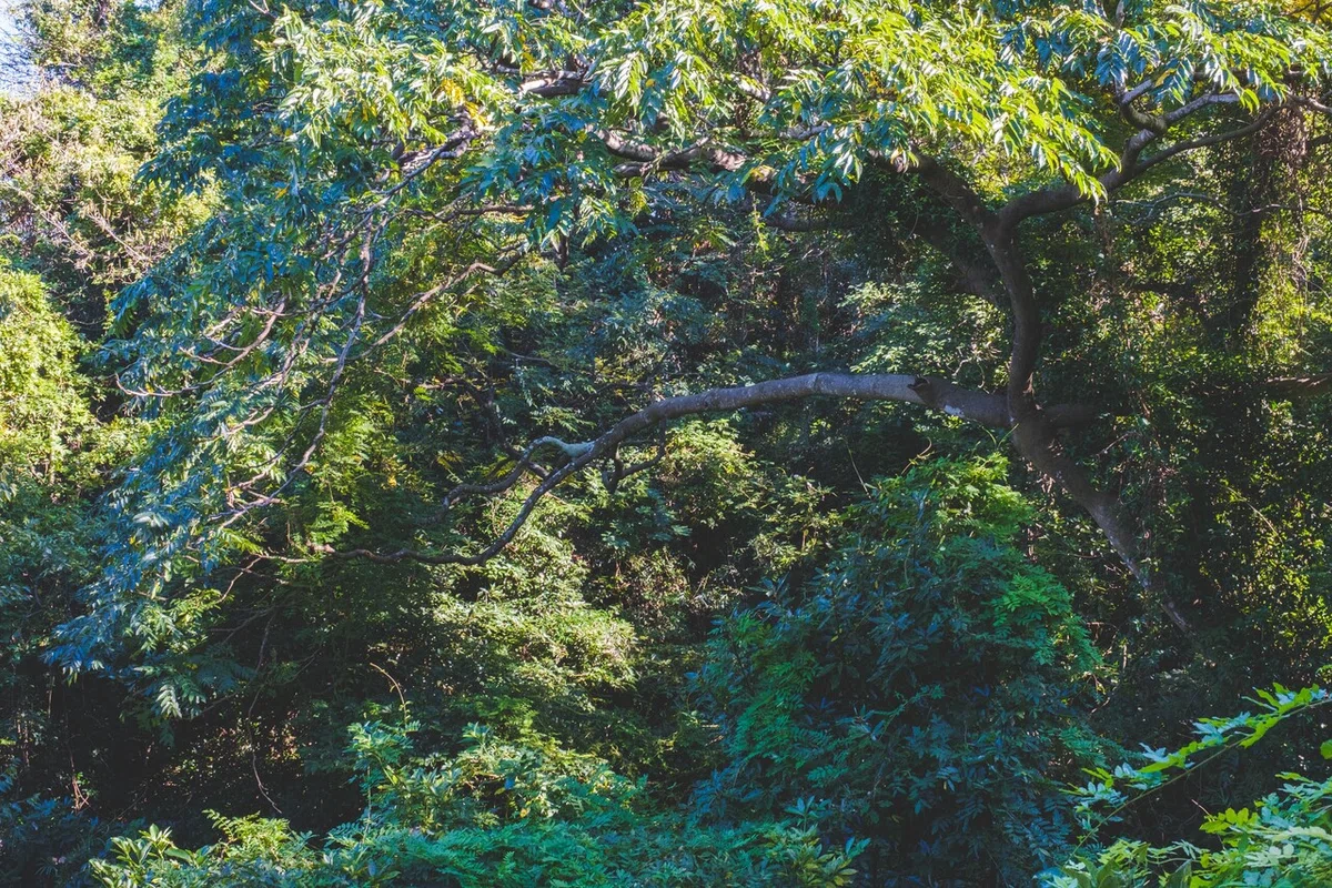 画像29