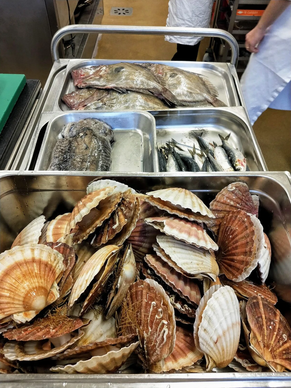 魚介類 produits de la mer|L'homme de blé