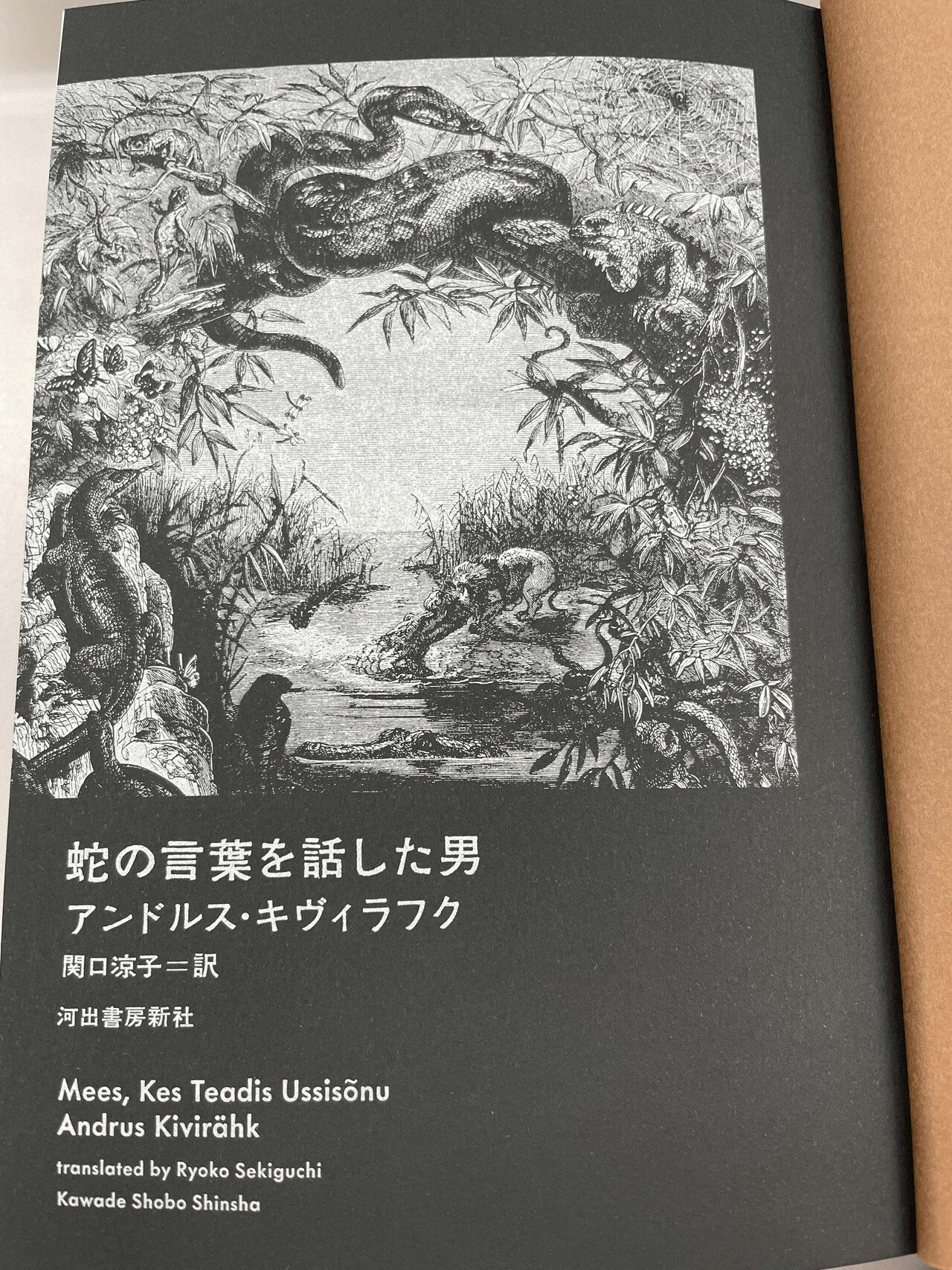 編集担当者に聞きました！ 河出の翻訳書づくりの裏側をのぞいて