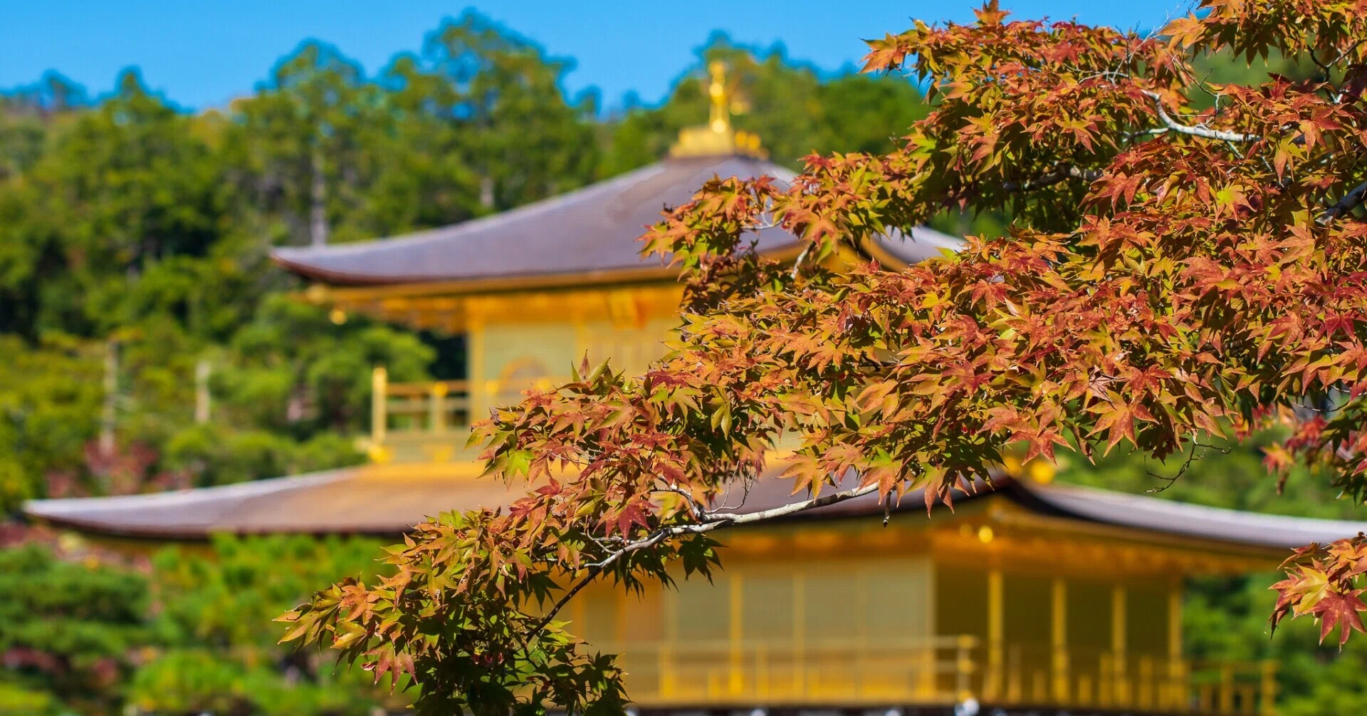京都の11月といえば 年秋にsns担当が訪れた京都の紅葉の名所 まとめ 第1回 京都の西編 彌榮自動車株式会社 ヤサカタクシー 公式 Note 京都の11月といえば 年秋にsns担当が訪れた京都の紅葉の名所 まとめ 第1回 京都の西編 彌榮自動車株式会社 ヤサカタクシー 公式 Note