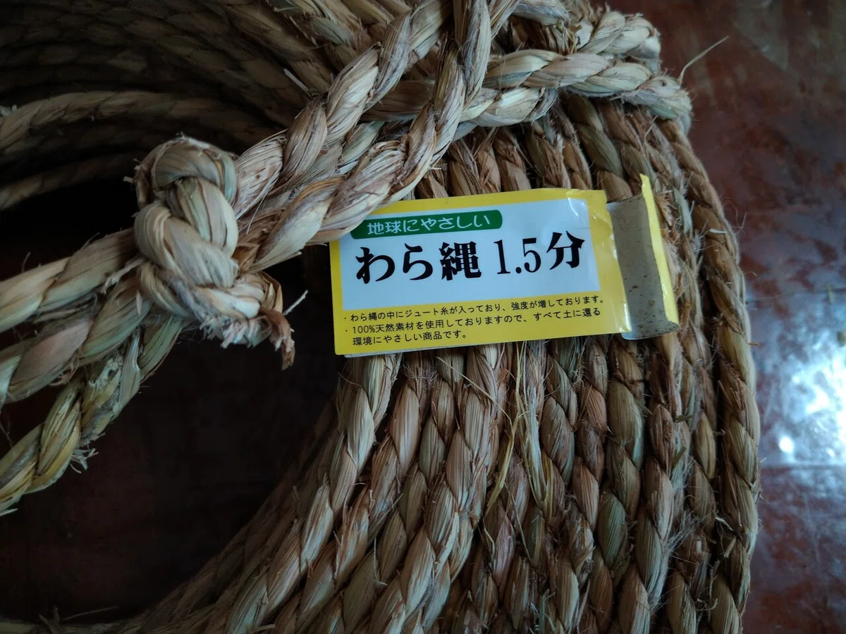 画像9