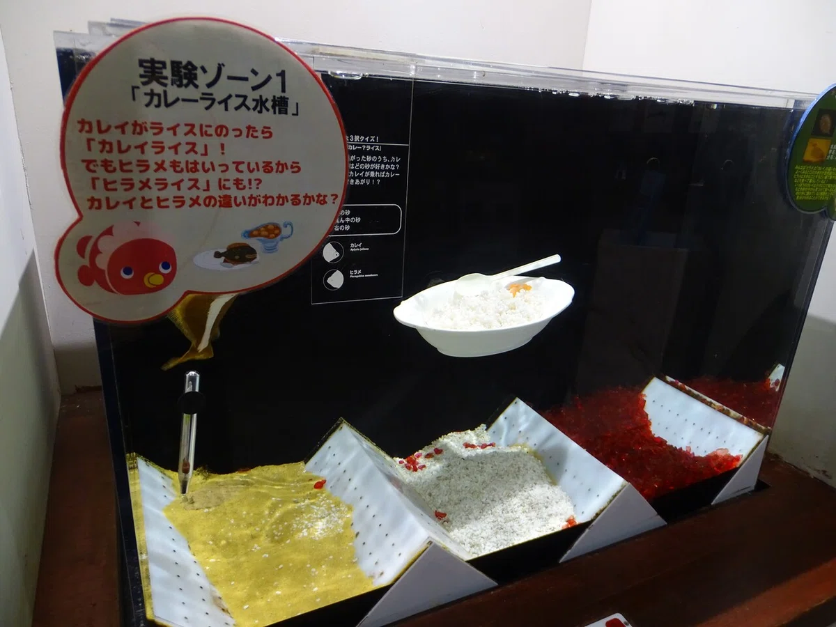 画像22