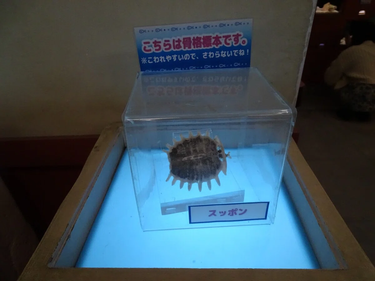 画像24
