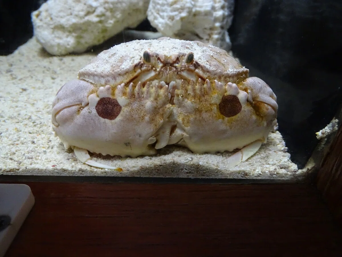 画像40