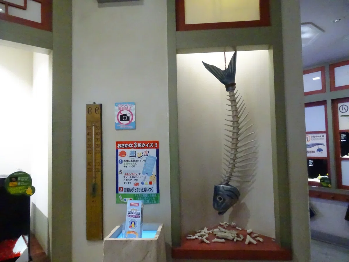 画像31