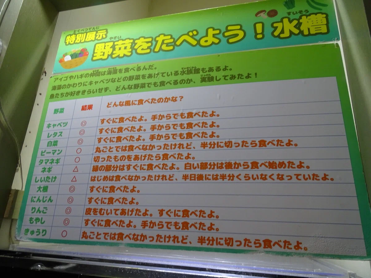 画像51