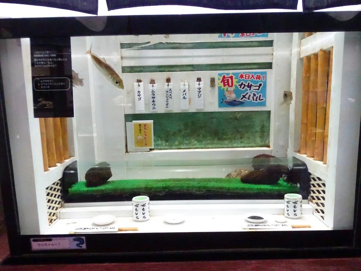 画像56