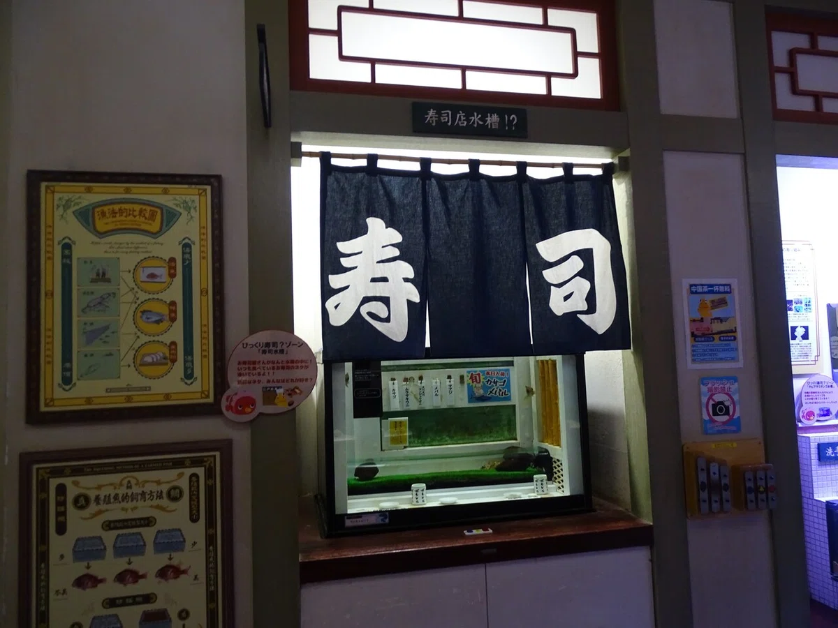 画像55