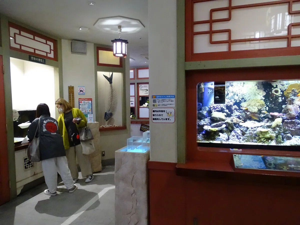 画像13