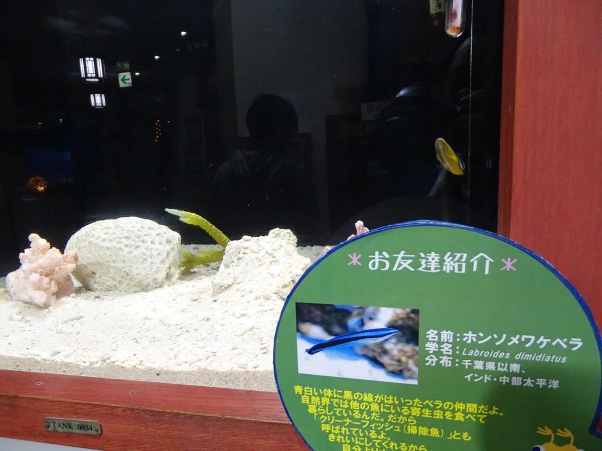 画像88
