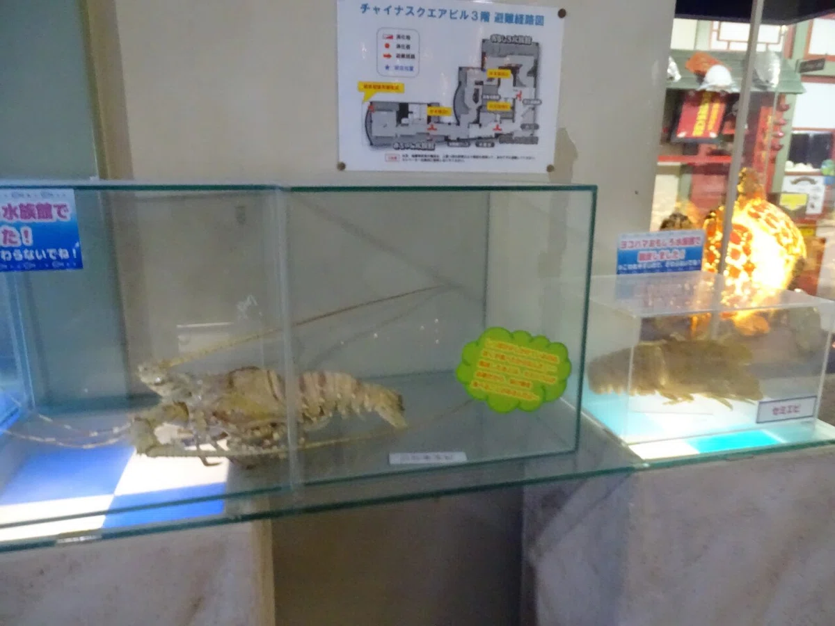 画像90