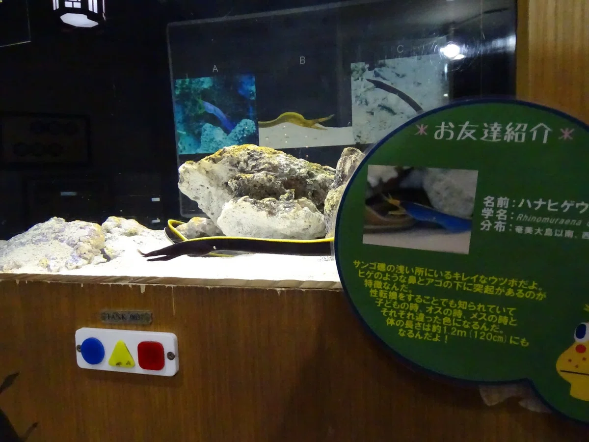 画像68