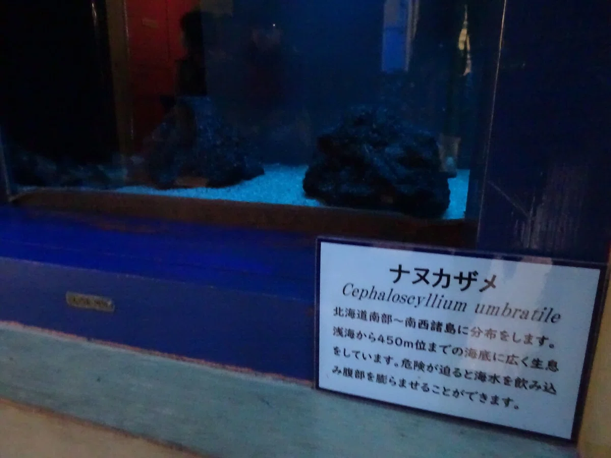 画像110