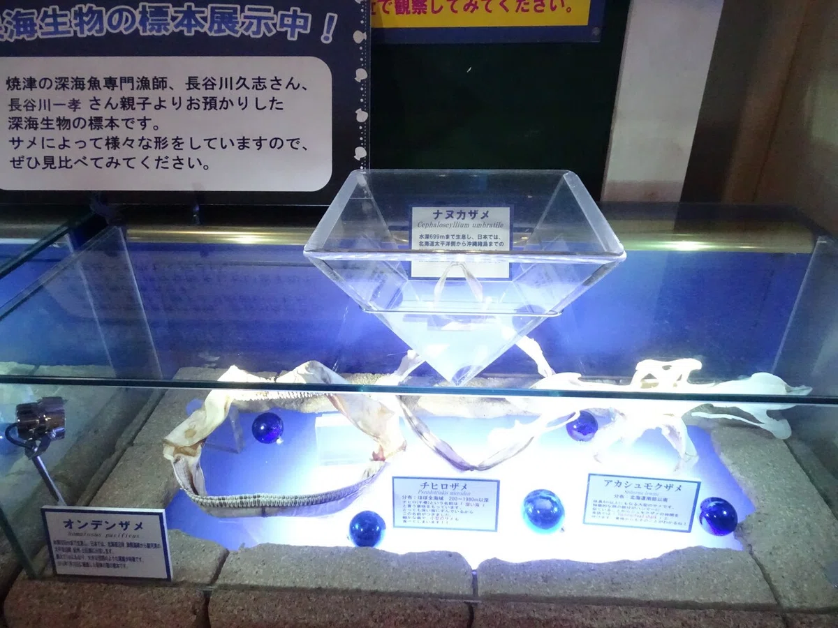 画像91