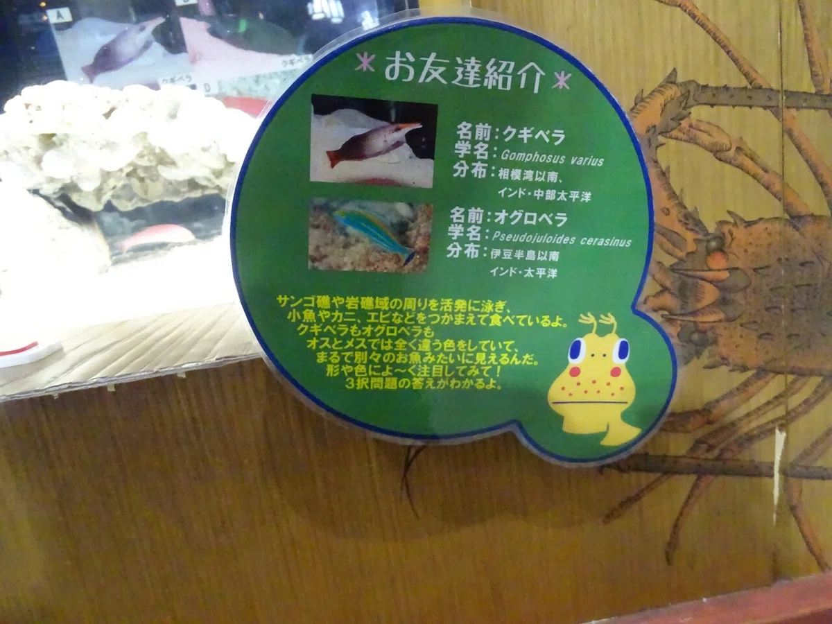 画像65