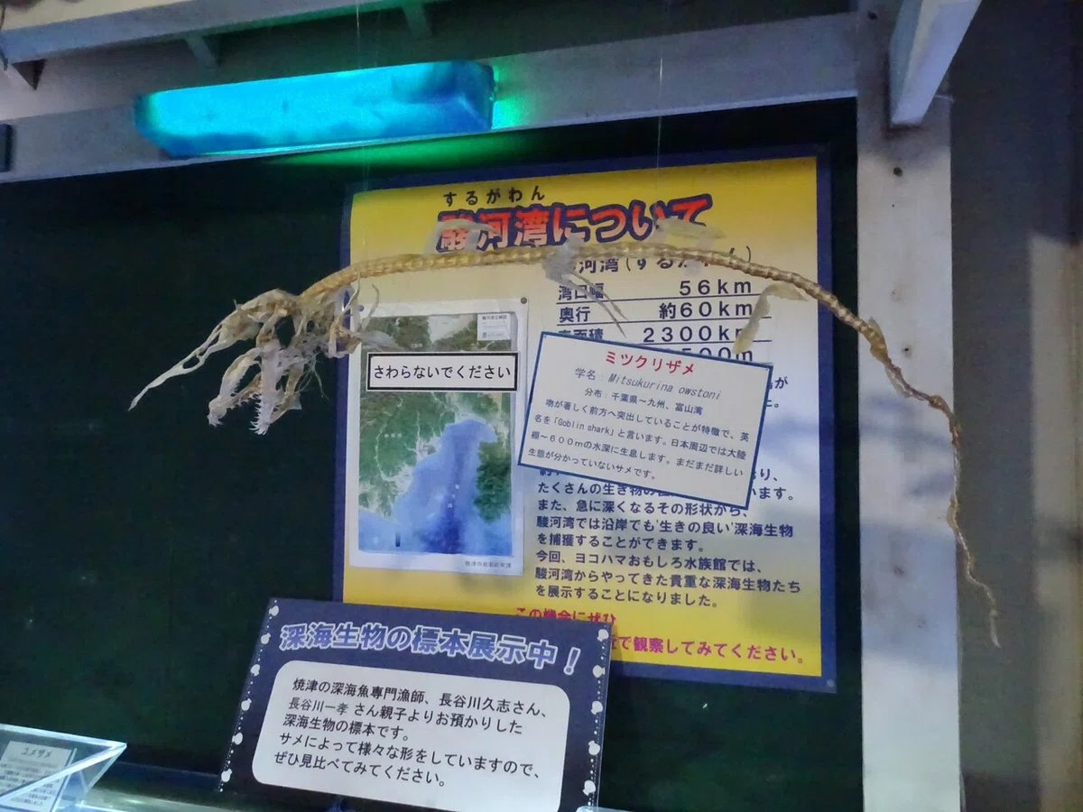 画像92