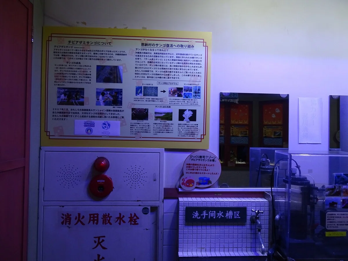 画像35
