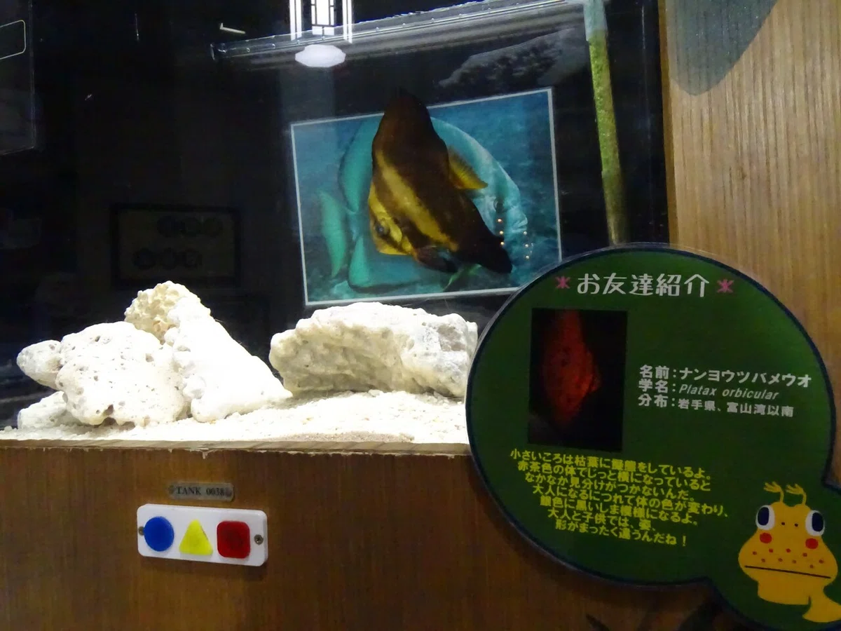 画像69