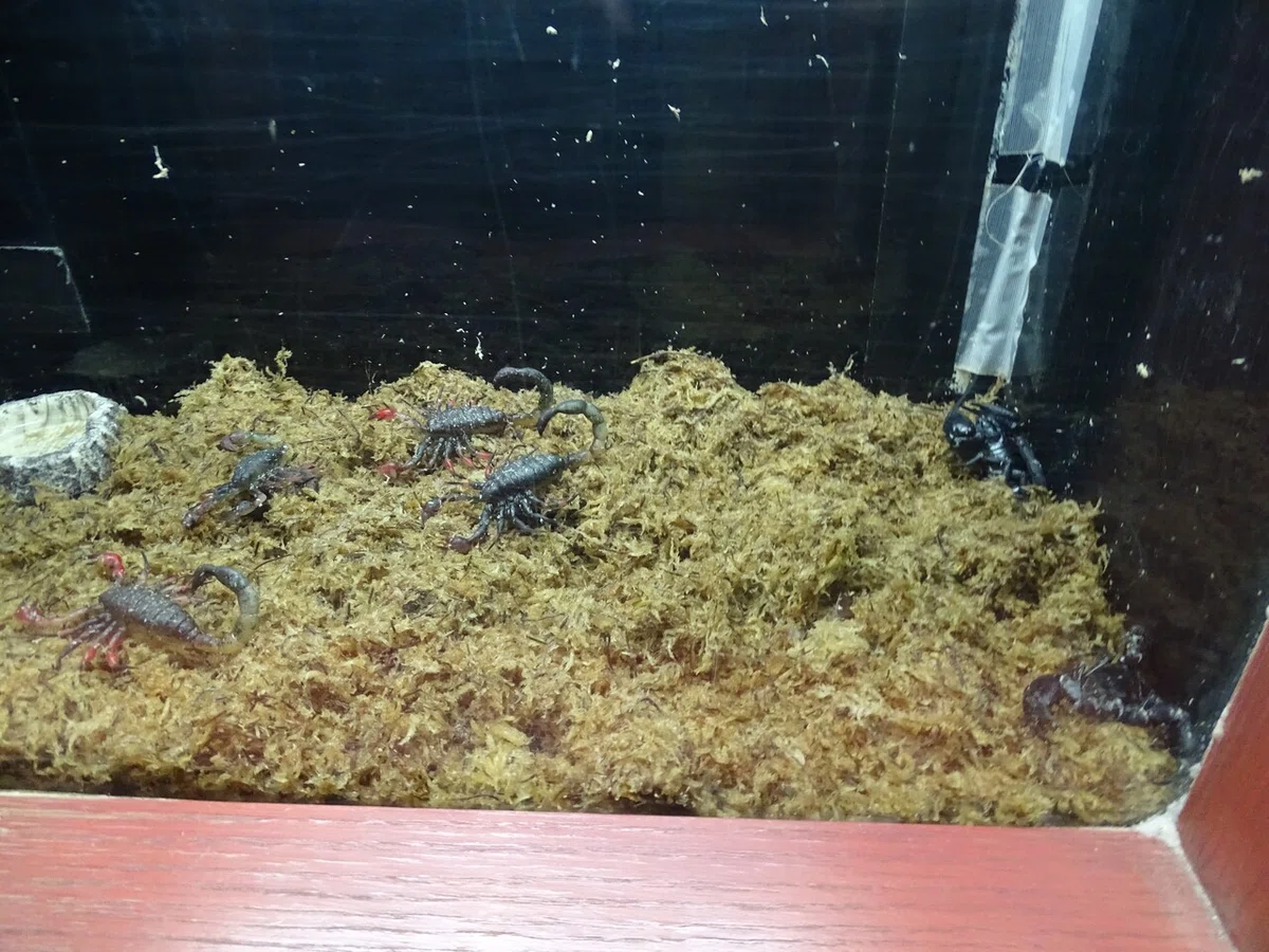 画像121