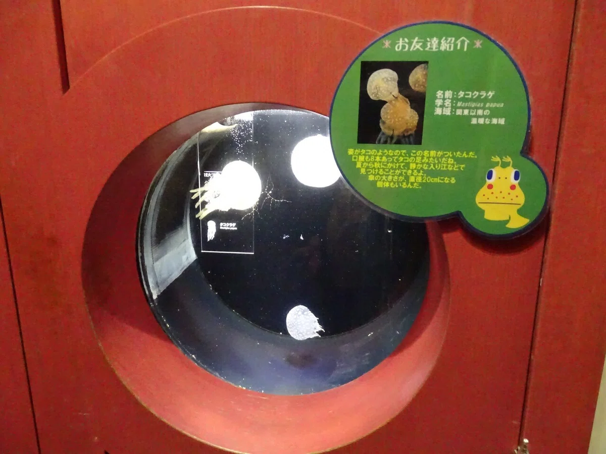 画像80