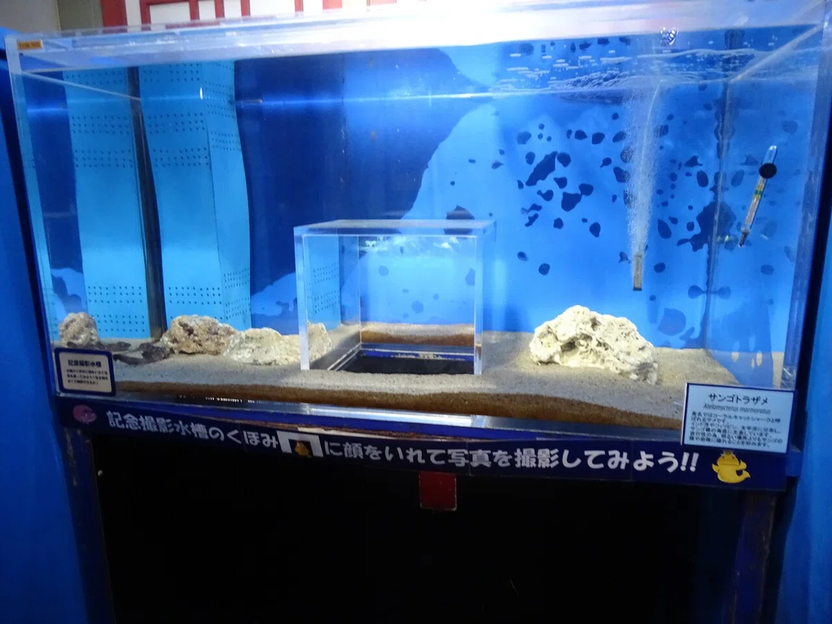 画像95