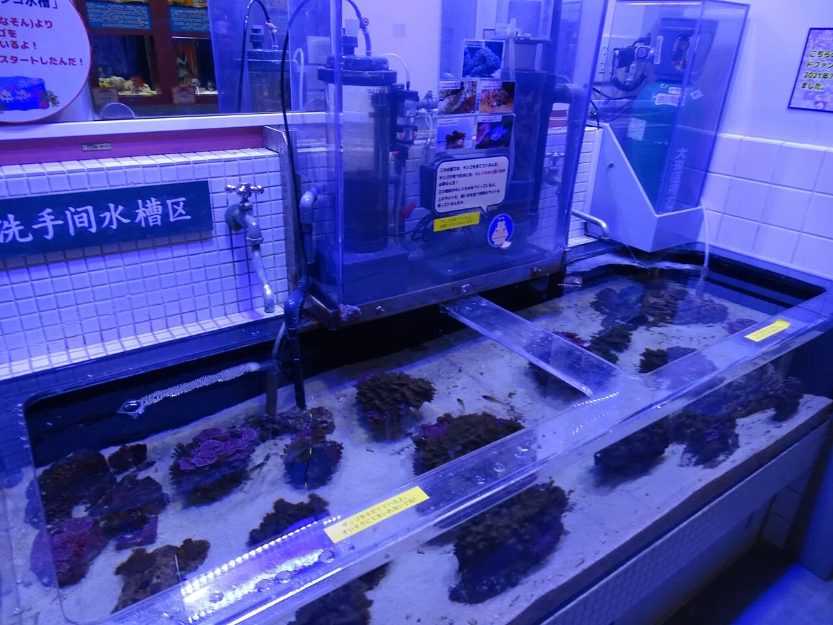 画像36