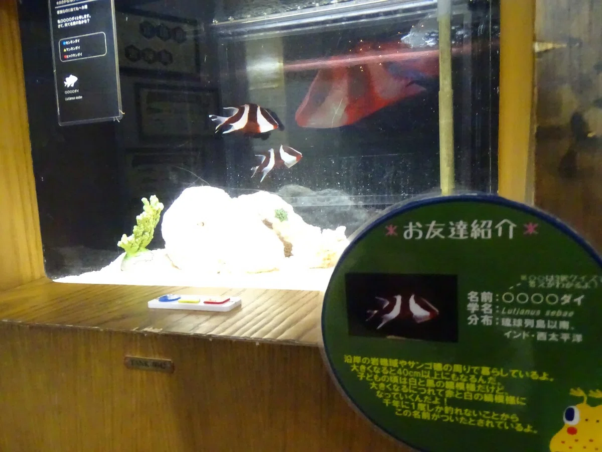 画像70