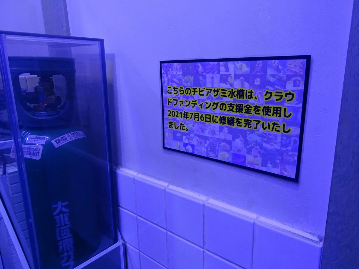 画像39