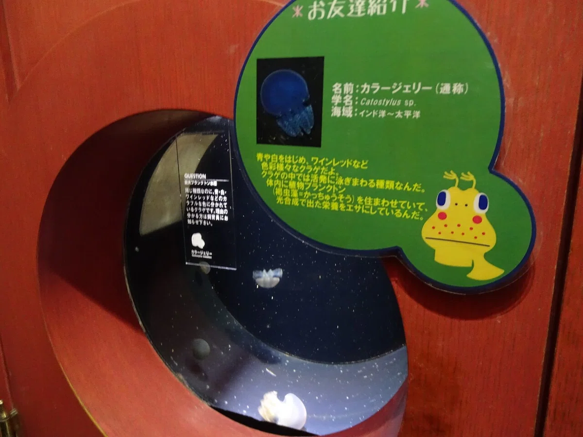 画像86