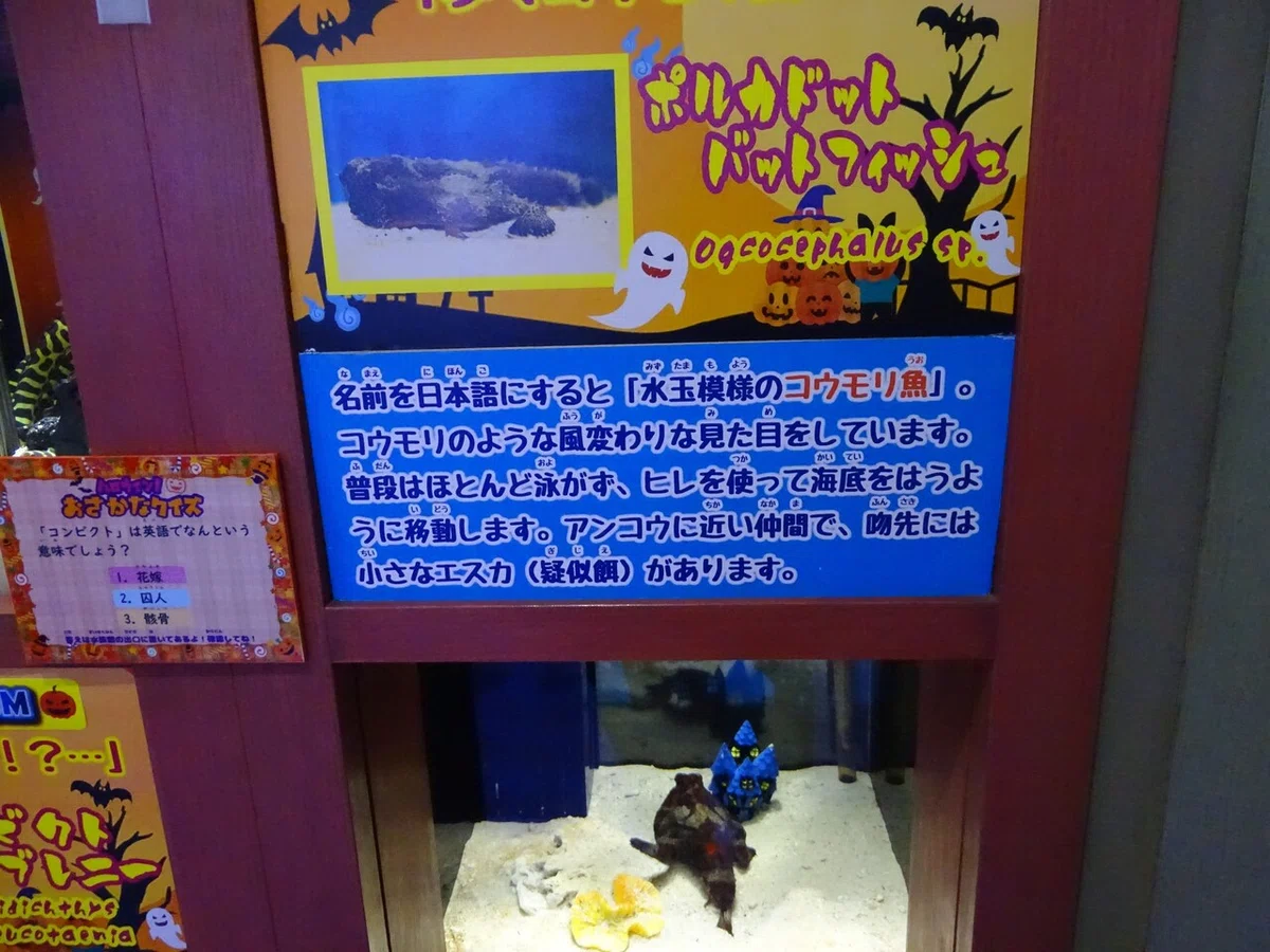 画像41