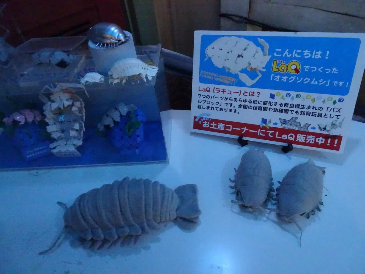 画像94