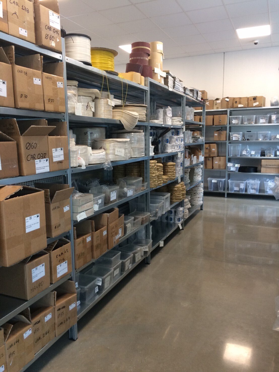 アコーディオン通信5_18