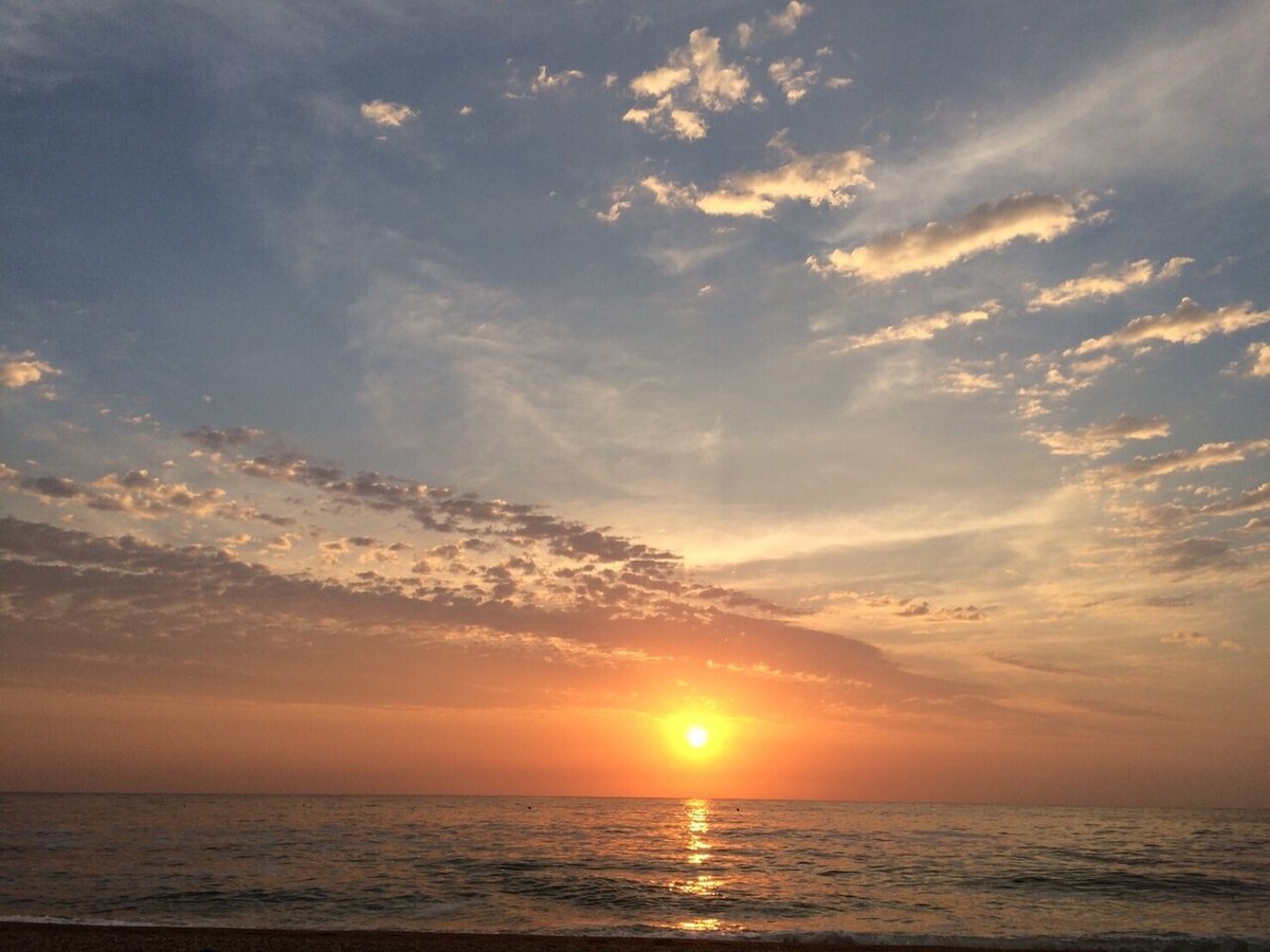 アコーディオン通信5_24